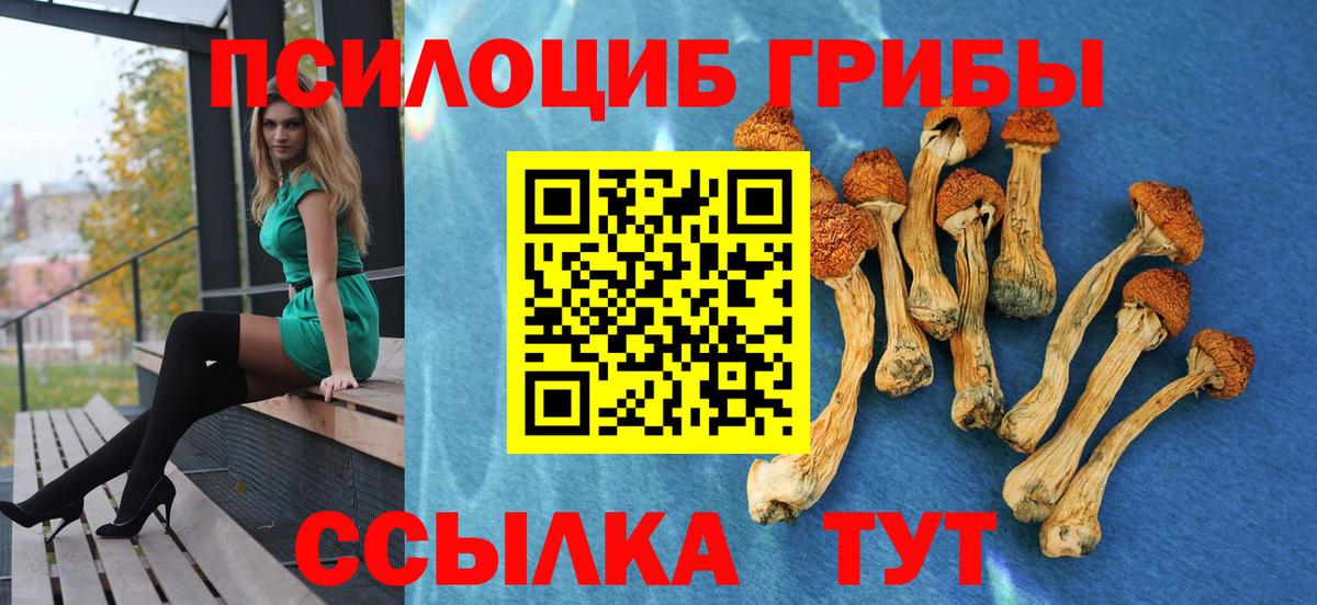 Галлюциногенные грибы Cubensis  где можно купить   Елабуга  Вход с VPN 