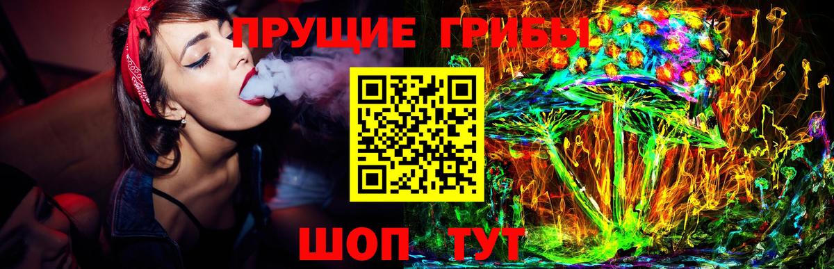 Галлюциногенные грибы Psilocybine cubensis Елабуга